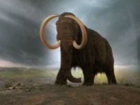Mammoth as part of an ice age diorama